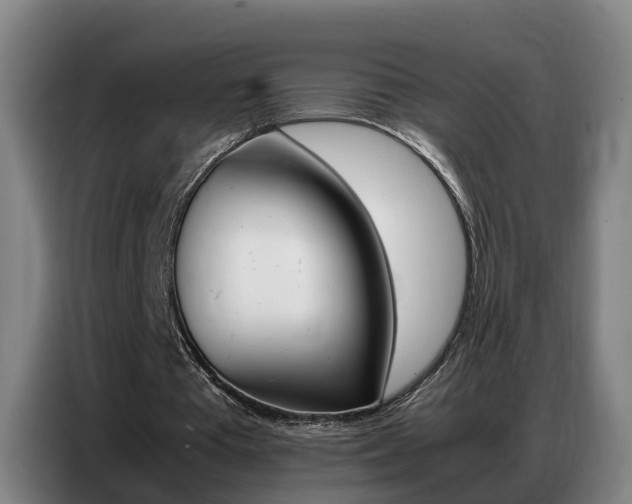 X0000087320385200704200744