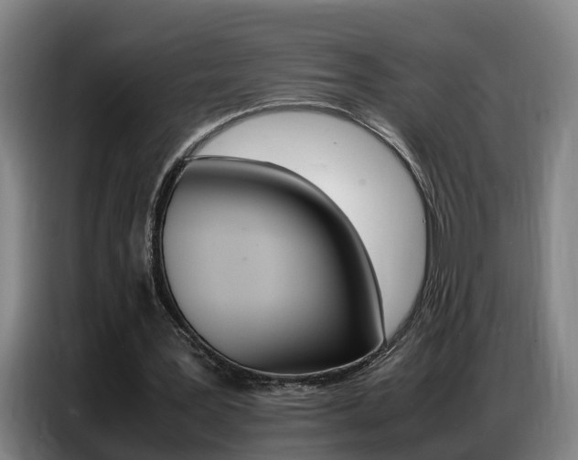 X0000087320387200704200744