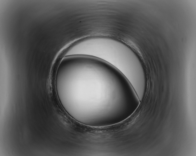 X0000087320388200704200744