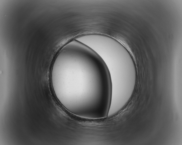X0000087320389200704200744