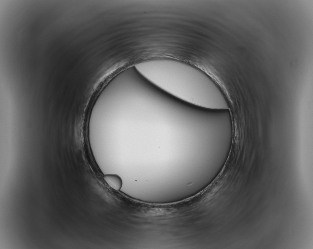 X0000087320390200704200744