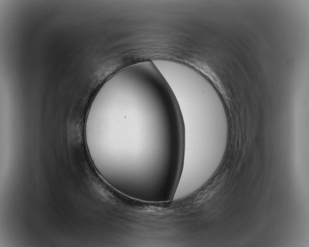 X0000087320393200704200743