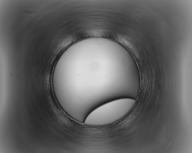 X0000087320394200704200743