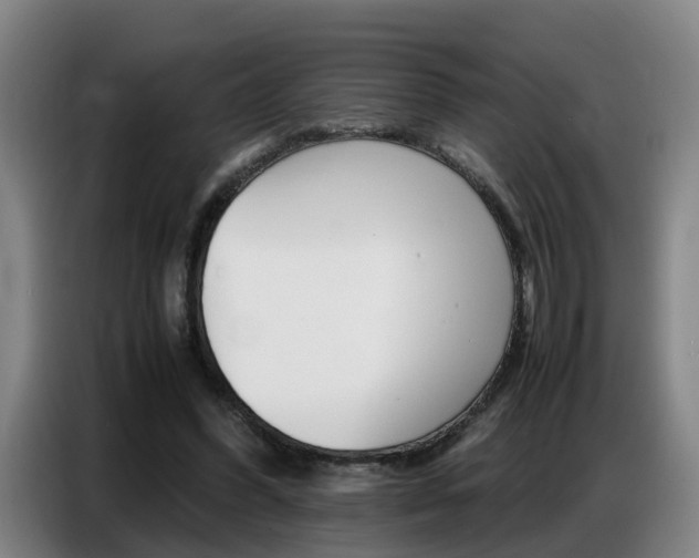 X0000087320396200704200743