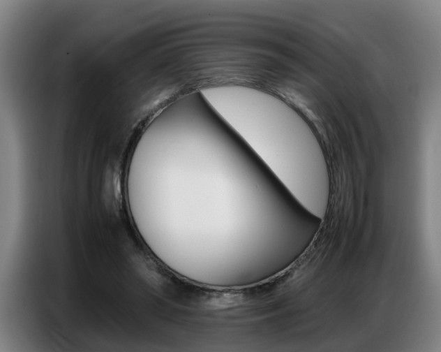 X0000087320398200704200743