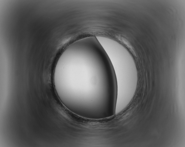 X0000087320399200704200743