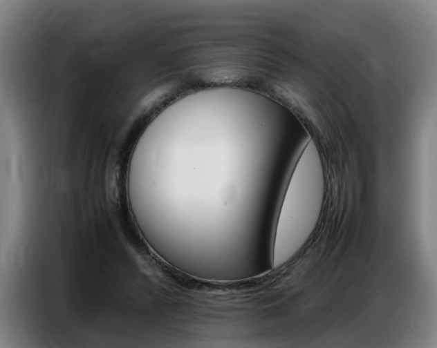 X0000087320400200704200743