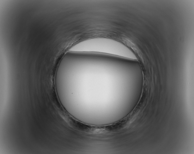 X0000087320401200704200743