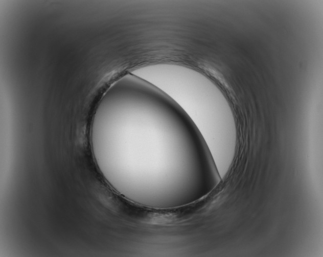 X0000087320403200704200743