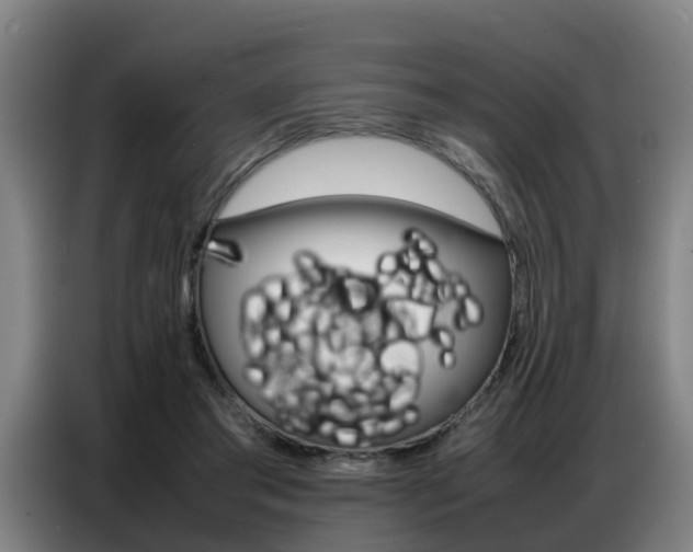 X0000087320405200704200743
