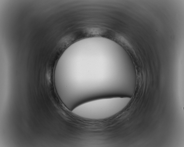 X0000087320406200704200743