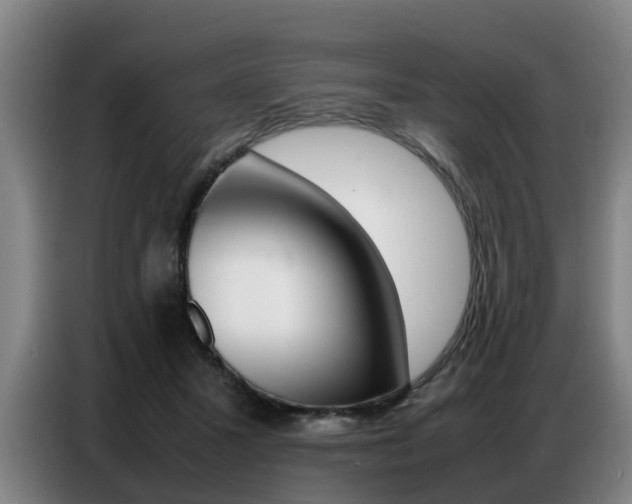 X0000087320407200704200743