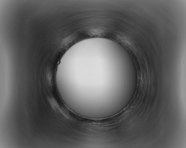 X0000087320408200704200743