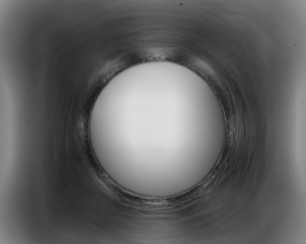 X0000087320410200704200743