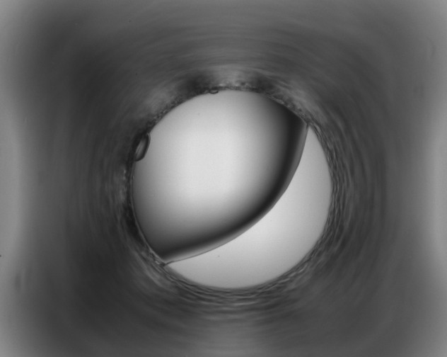 X0000087320413200704200743