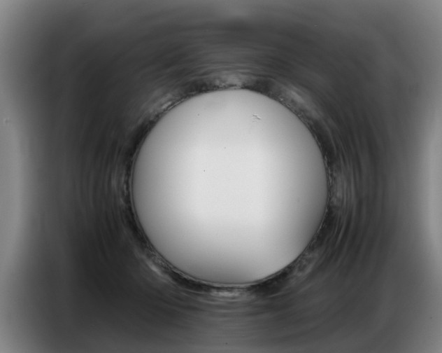 X0000087320414200704200743
