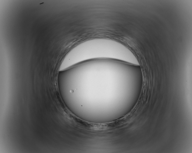 X0000087320415200704200743