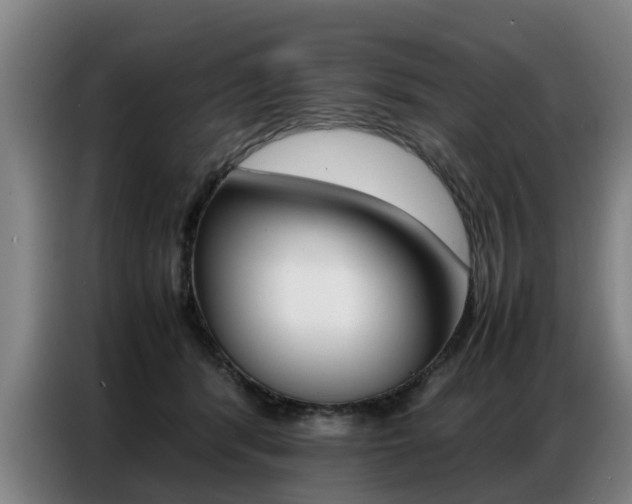 X0000087320416200704200743