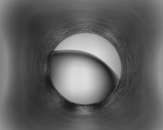 X0000087320417200704200743