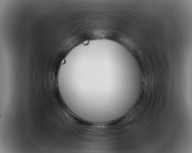 X0000087320418200704200743
