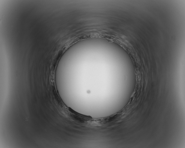 X0000087320419200704200743