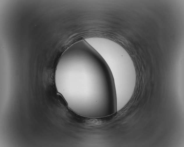 X0000087320421200704200743