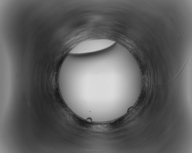 X0000087320422200704200743