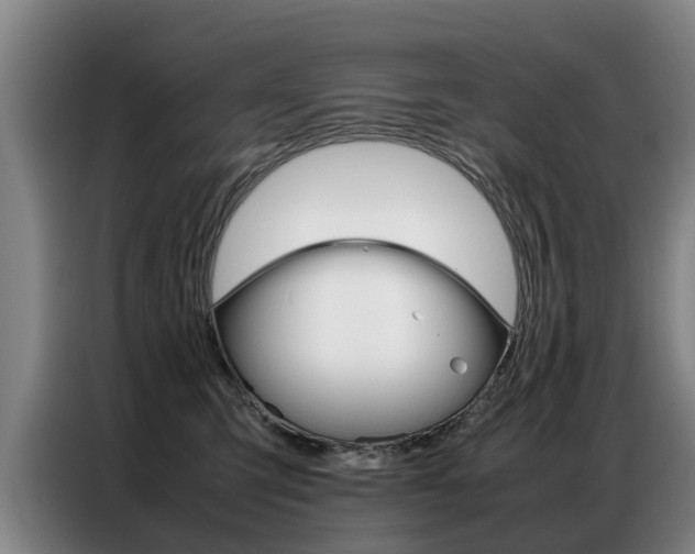 X0000087320423200704200743
