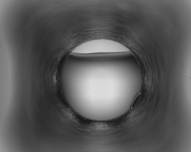 X0000087320424200704200743