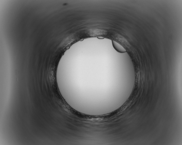 X0000087320426200704200743