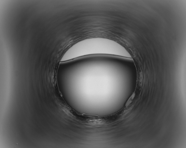 X0000087320428200704200743