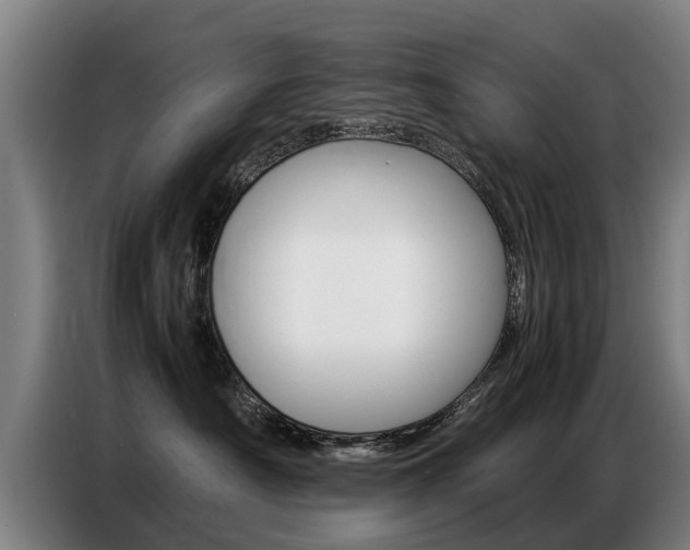 X0000087320430200704200743