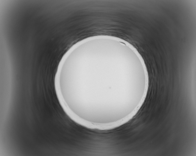 X0000087320431200704200743