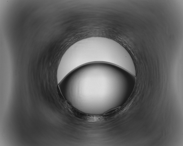 X0000087320432200704200743