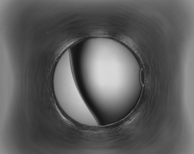 X0000087320433200704200742