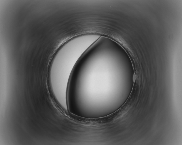X0000087320434200704200742