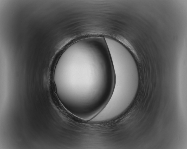 X0000087320436200704200742