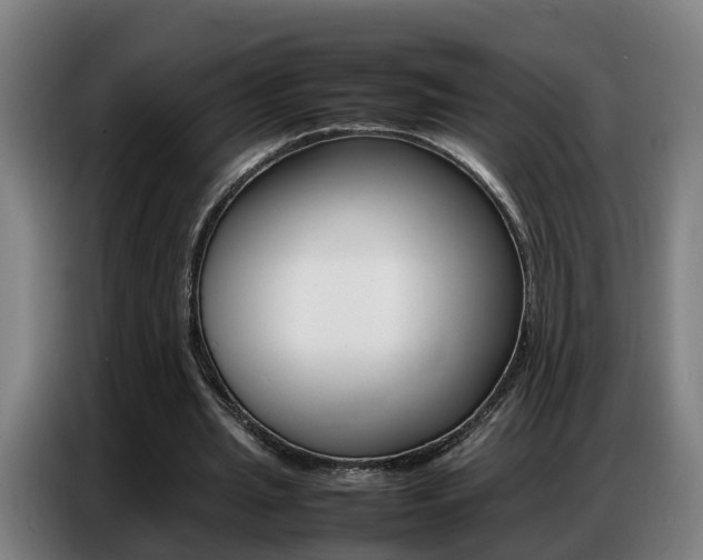 X0000087320437200704200742