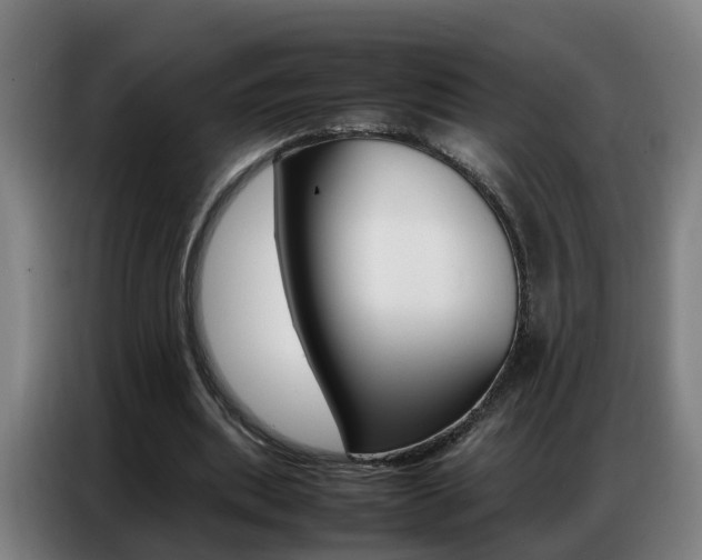 X0000087320439200704200742