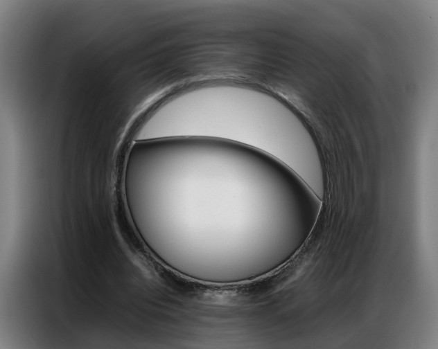 X0000087320440200704200742