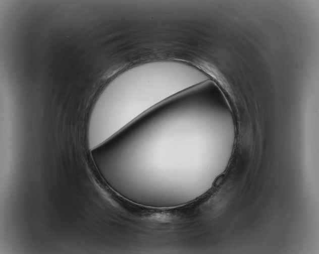 X0000087320441200704200742