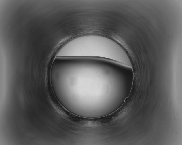 X0000087320442200704200742
