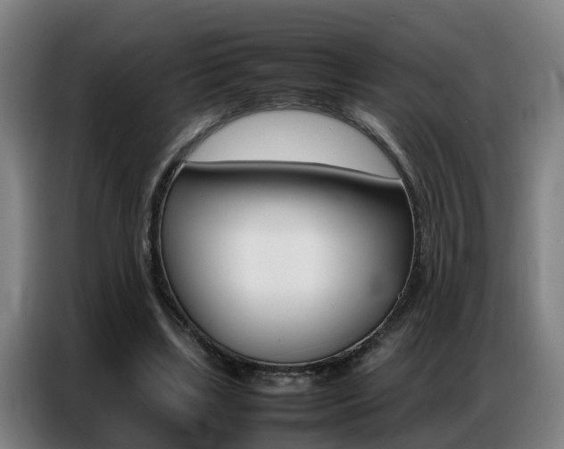 X0000087320443200704200742