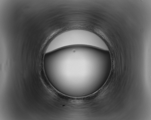 X0000087320444200704200742