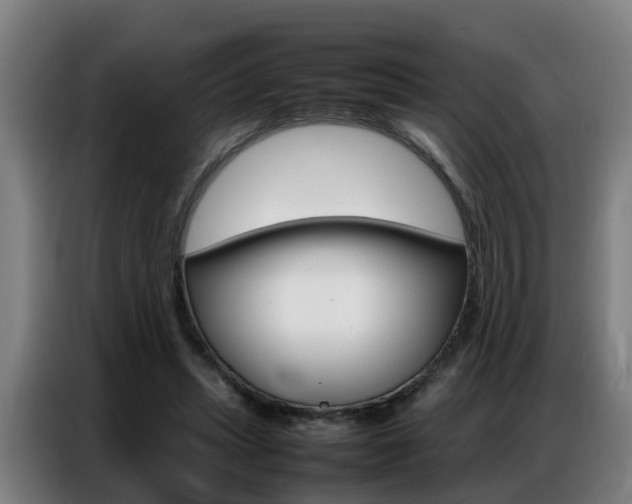 X0000087320447200704200742