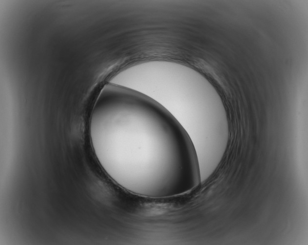 X0000087320448200704200742