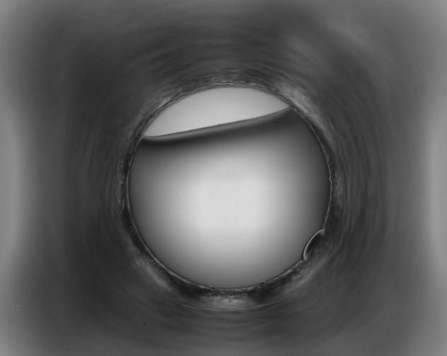 X0000087320449200704200742