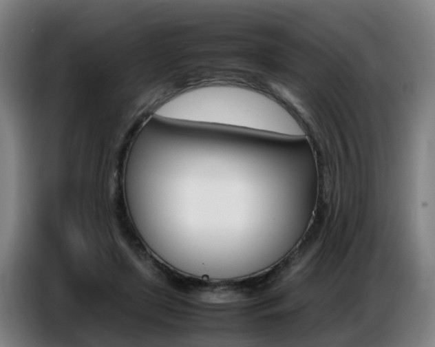X0000087320451200704200743