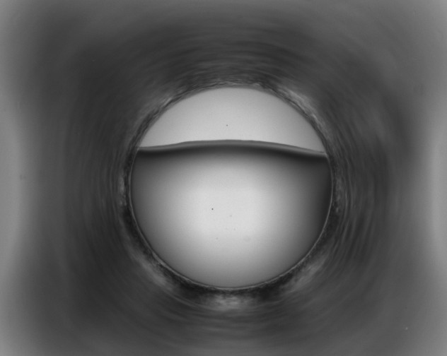 X0000087320453200704200743