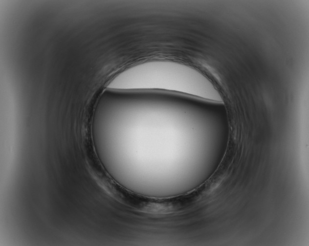 X0000087320455200704200743